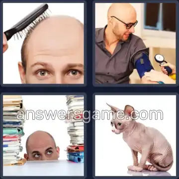 4 Plaatjes 1 Woord 4 letters KAAL