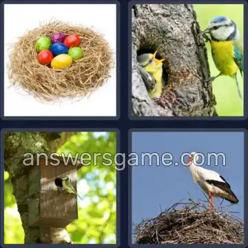 4 Plaatjes 1 Woord 4 letters NEST