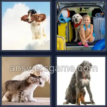 4 Plaatjes 1 Woord 4 letters HOND