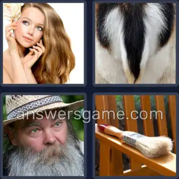 4 Plaatjes 1 Woord 4 letters HAAR