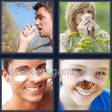 4 Plaatjes 1 Woord 4 letters NEUS