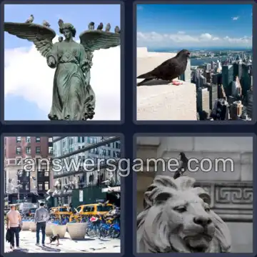 4 Plaatjes 1 Woord 4 letters DUIF