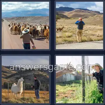 4 Plaatjes 1 Woord 4 letters LAMA