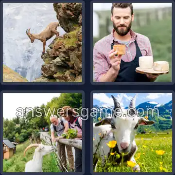 4 Plaatjes 1 Woord 4 letters GEIT