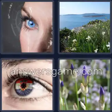 4 Plaatjes 1 Woord 4 letters IRIS