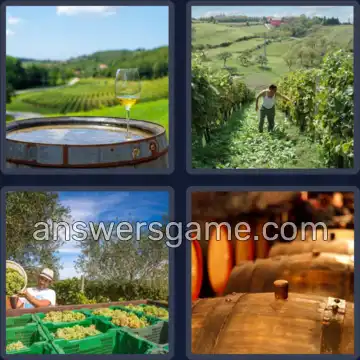 4 Plaatjes 1 Woord 4 letters WIJN