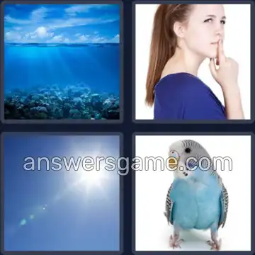 4 Plaatjes 1 Woord 5 letters BLAUW