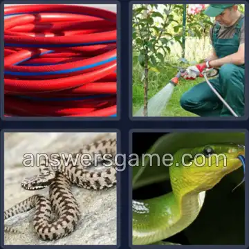 4 Plaatjes 1 Woord 5 letters SLANG