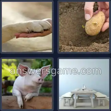 4 Plaatjes 1 Woord 5 letters POTEN