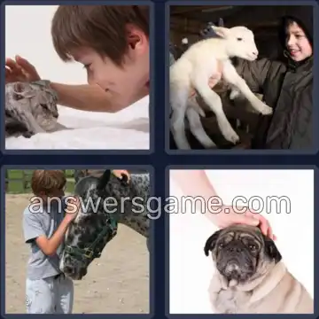 4 Plaatjes 1 Woord 5 letters AAIEN