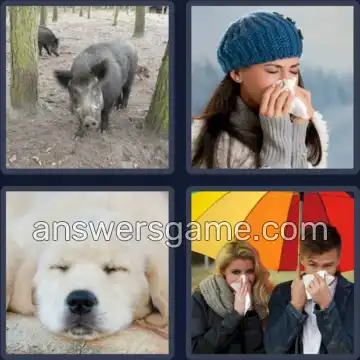 4 Plaatjes 1 Woord 5 letters SNUIT