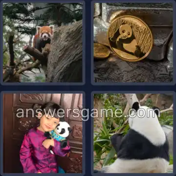 4 Plaatjes 1 Woord 5 letters PANDA