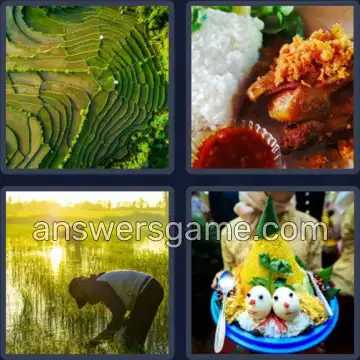 4 Plaatjes 1 Woord 5 letters RIJST