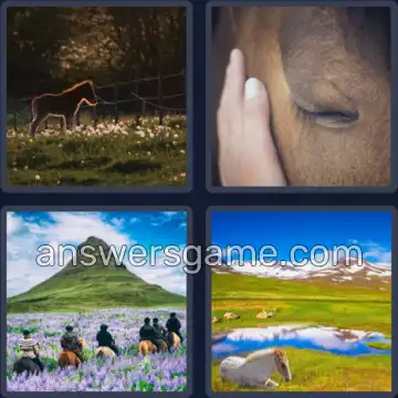 4 Plaatjes 1 Woord 5 letters PAARD