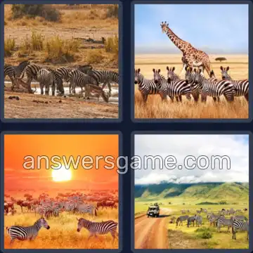 4 Plaatjes 1 Woord 5 letters ZEBRA