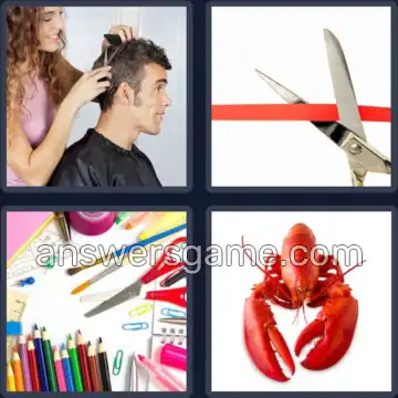 4 Plaatjes 1 Woord 6 letters SCHAAR