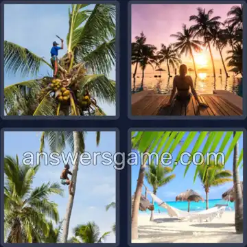 4 Plaatjes 1 Woord 6 letters PALMEN