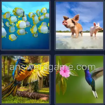 4 Plaatjes 1 Woord 6 letters DIEREN