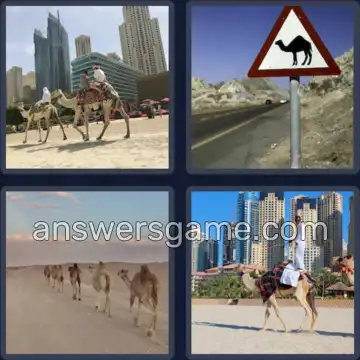 4 Plaatjes 1 Woord 6 letters KAMEEL