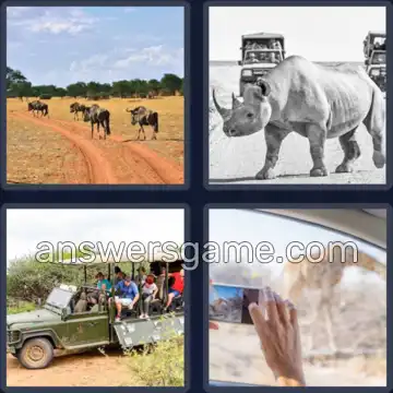 4 Plaatjes 1 Woord 6 letters SAFARI