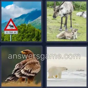 4 Plaatjes 1 Woord 6 letters DIEREN