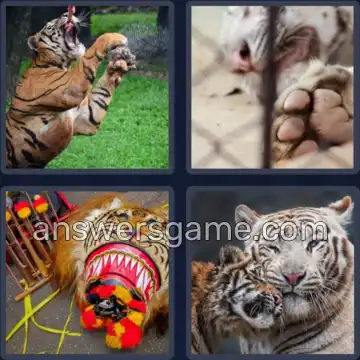 4 Plaatjes 1 Woord 6 letters TIJGER