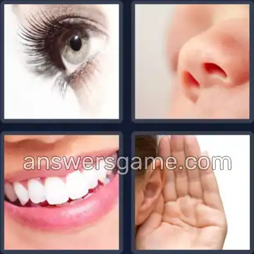 4 Plaatjes 1 Woord 7 letters GEZICHT