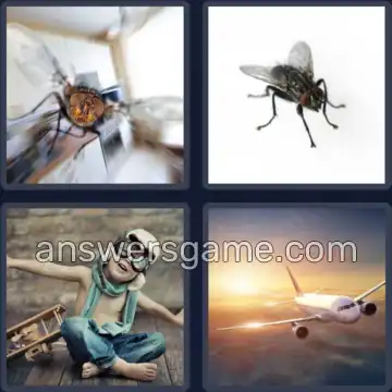 4 Plaatjes 1 Woord 7 letters VLIEGEN