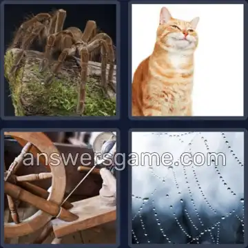 4 Plaatjes 1 Woord 7 letters SPINNEN