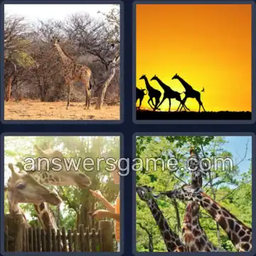 4 Plaatjes 1 Woord 7 letters GIRAFFE