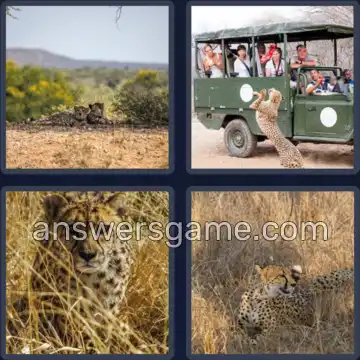 4 Plaatjes 1 Woord 7 letters CHEETAH