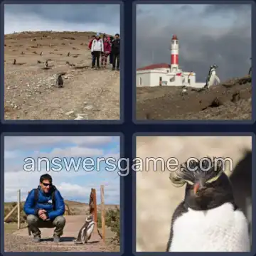 4 Plaatjes 1 Woord 7 letters PINGUÏN