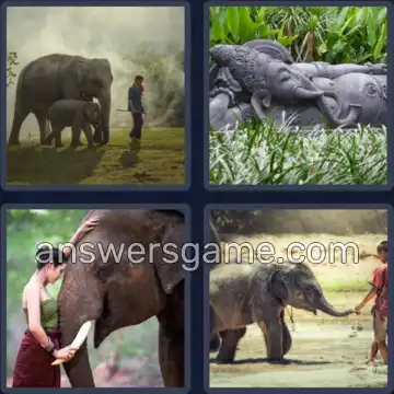4 Plaatjes 1 Woord 7 letters OLIFANT