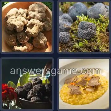 4 Plaatjes 1 Woord 7 letters TRUFFEL