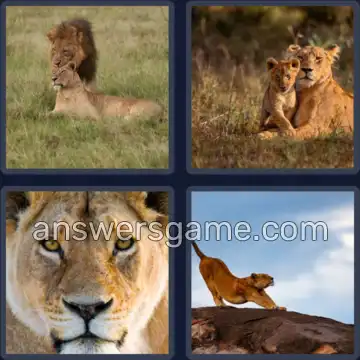 4 Plaatjes 1 Woord 7 letters LEEUWIN