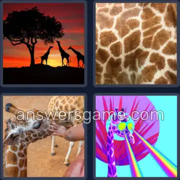 4 Plaatjes 1 Woord 7 letters GIRAFFE