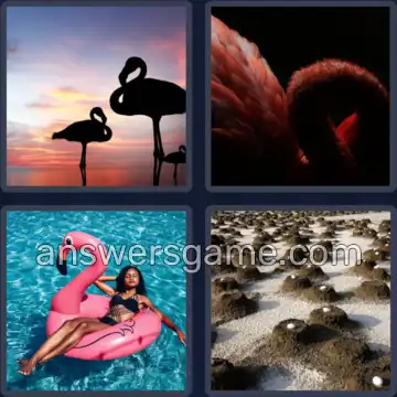 4 Plaatjes 1 Woord 8 letters FLAMINGO