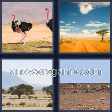 4 Plaatjes 1 Woord 8 letters WOESTIJN