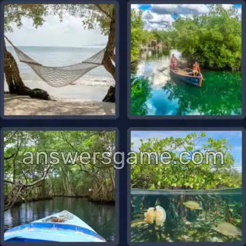 4 Fotos 1 Palavra 9 letras MANGUEZAL