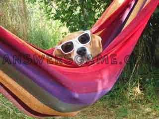 Screenshot des Levels 94 Prozent