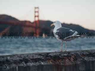 Captura de tela do nível 94 por cento