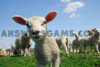 Capture d'écran du niveau 94 pour cent