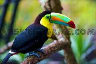 Capture d'écran du niveau 94 pour cent