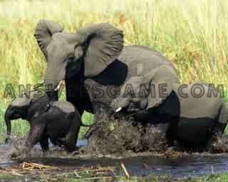 Screenshot des Levels 94 Prozent