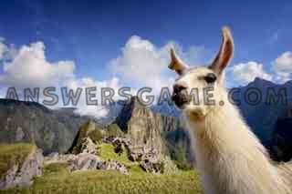 Screenshot des Levels 94 Prozent