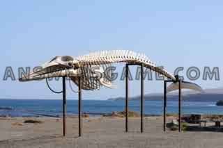 Screenshot des Levels 94 Prozent