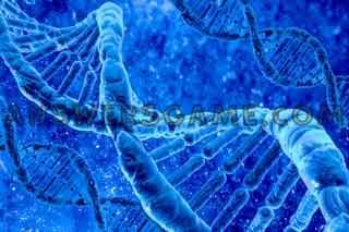 Capture d'écran du niveau 94 pour cent