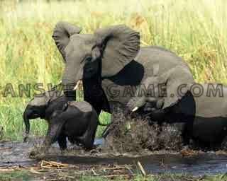 Captura de pantalla del nivel 94 por ciento