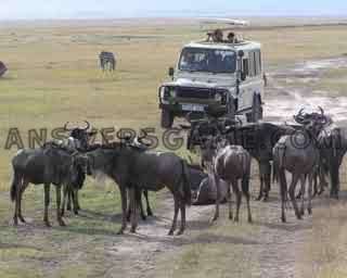 Yüzde 94 seviyesinin ekran görüntüsü