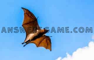 Captura de pantalla del nivel 94 por ciento